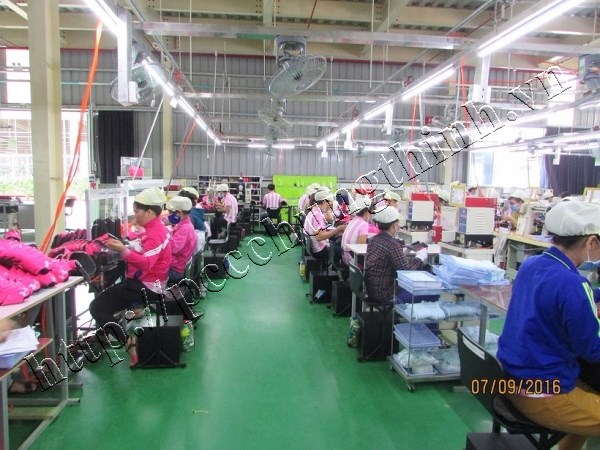 NHÀ XƯỞNG VÀ CÔNG TRÌNH PHỤ TRỢ CÔNG TY TNHH ĐẠI HOA